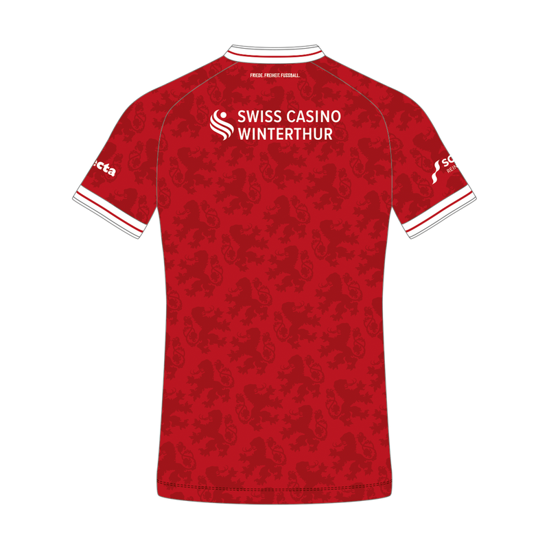 Trikot hinten
