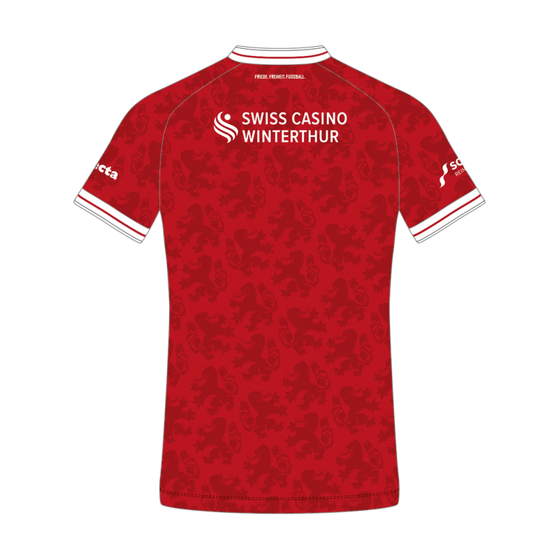 Trikot hinten
