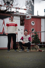 Laden Sie das Bild in den Galerie-Viewer, Strickpulli Winterthur