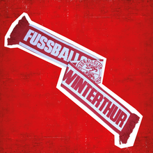 Laden Sie das Bild in den Galerie-Viewer, Strickschal Fussballclub Winterthur